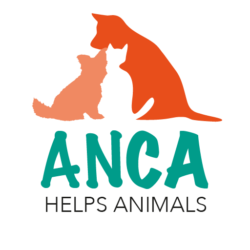 ANCA Helps Animals